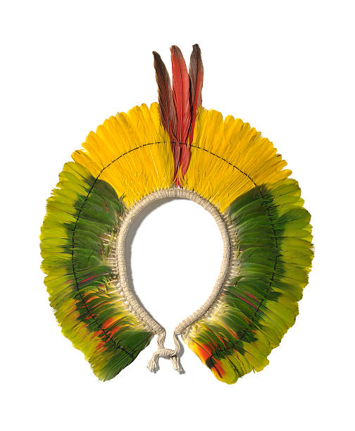 indigean objets - feather headdress photos et images de collection