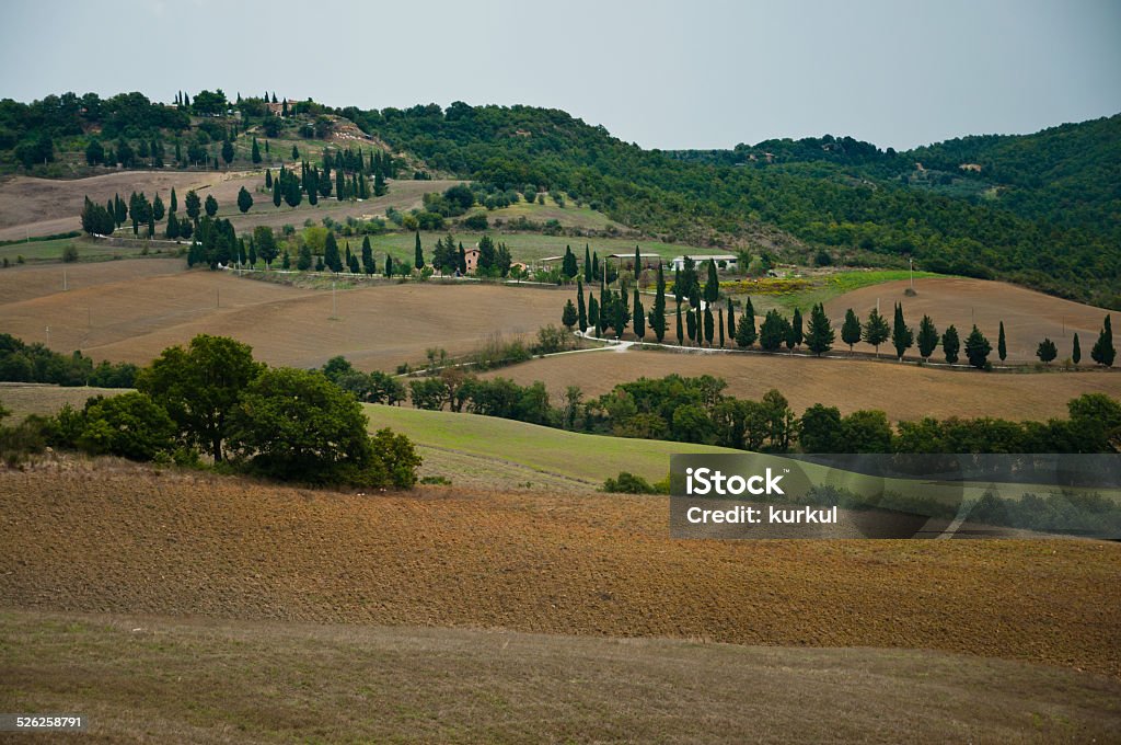 Tuscany Tuscany landscape in Autumn, Italy Agricultural Field Stock Photo