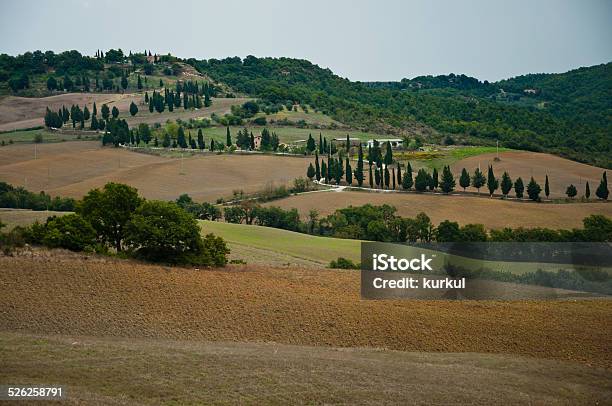 Tuscany Stock Photo - Download Image Now - Agricultural Field, Agriculture, Autumn