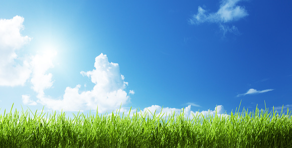 Empty green field and clear blue sky.