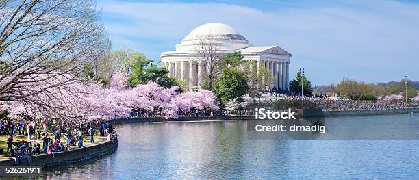 Jefferson Memorial And Crowds Cherry Blossom Festival By Tidal Basin Stock Photo - Download Image Now