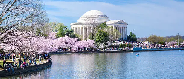 Photo of Jefferson Memorial and Crowds, Cherry Blossom Festival by Tidal Basin