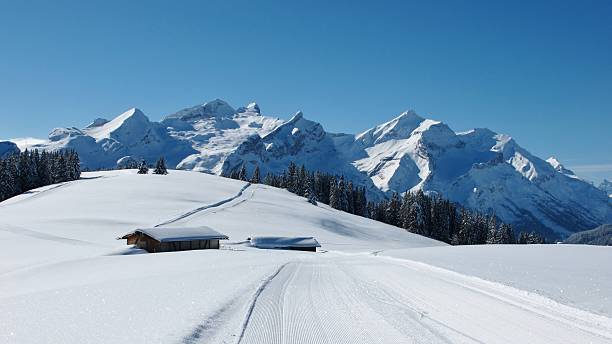 oldenhorn e outras altas montanhas - bernese oberland gstaad winter snow imagens e fotografias de stock