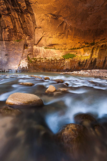 sandstein wand in der narrows-canyon, zion national park, utah - zion narrows stock-fotos und bilder