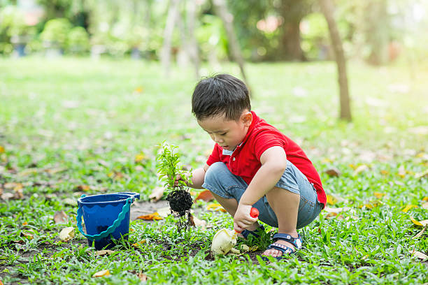 istock Happy boy gardening 526272288