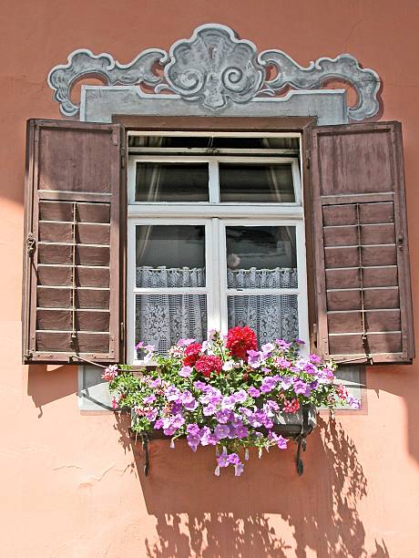 istock Window with Flowers and Shutters 526272360