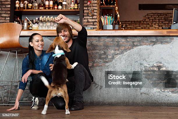 Couple Playing With A Dog Stock Photo - Download Image Now - Dog, Bar - Drink Establishment, Bar Counter