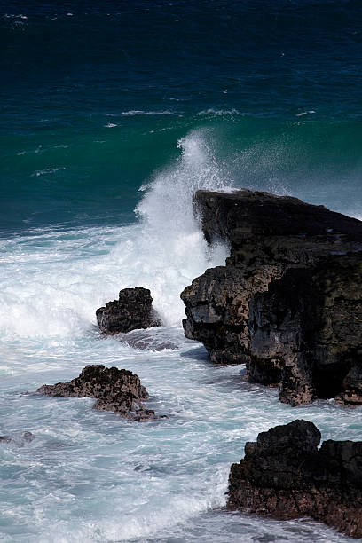 istock Gris Gris Beach, cape on South of Mauritius 526275009