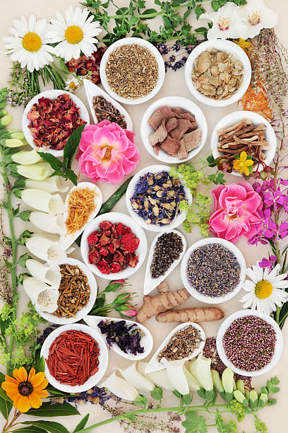 istock Medicinal Healing Herbs and Flowers 526275724