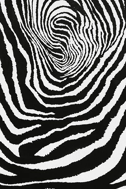 istock texture of print fabric striped zebra 526279320
