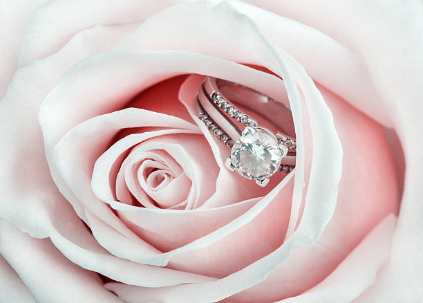 istock Pink Rose and diamond ring nestled inside. Bouquet of blossoming 526280582
