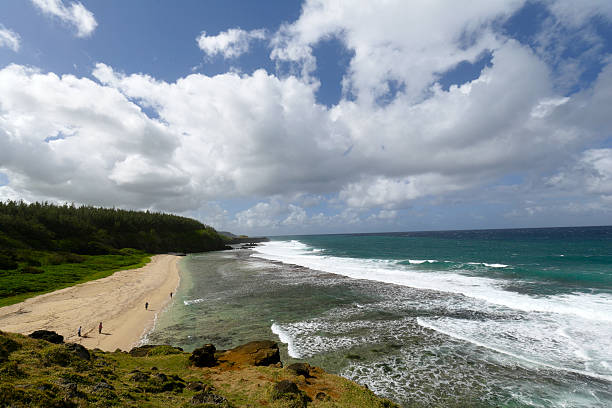 istock Gris Gris Beach, cape on South of Mauritius 526284259