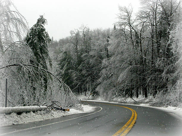 istock Ice and Snow Covered Trees and the Wet Road 526285043