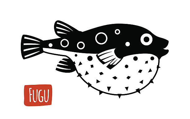 Fugu, vector cartoon illustration Fugu, vector illustration, cartoon style balloonfish stock illustrations