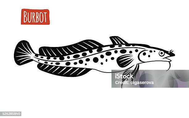 Burbot Vector Cartoon Illustration Stock Illustration - Download Image Now - Animal, Animals In The Wild, Aquatic Organism