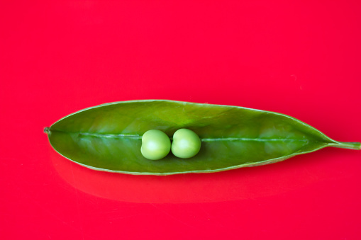 Two perfect peas in a pod on a vibrant red background with plenty of copy space available.