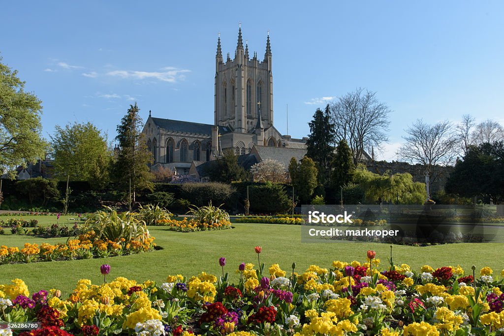 St Edmundsbury Cathedral St Edmundsbury Cathedral with flowers in foreground Bury St Edmunds Stock Photo