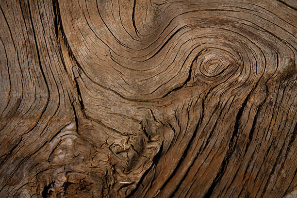 istock closeup look at grain pattern on piece of dry wood 526287053