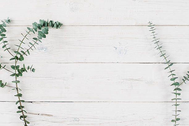 Spring plant over white wooden background.