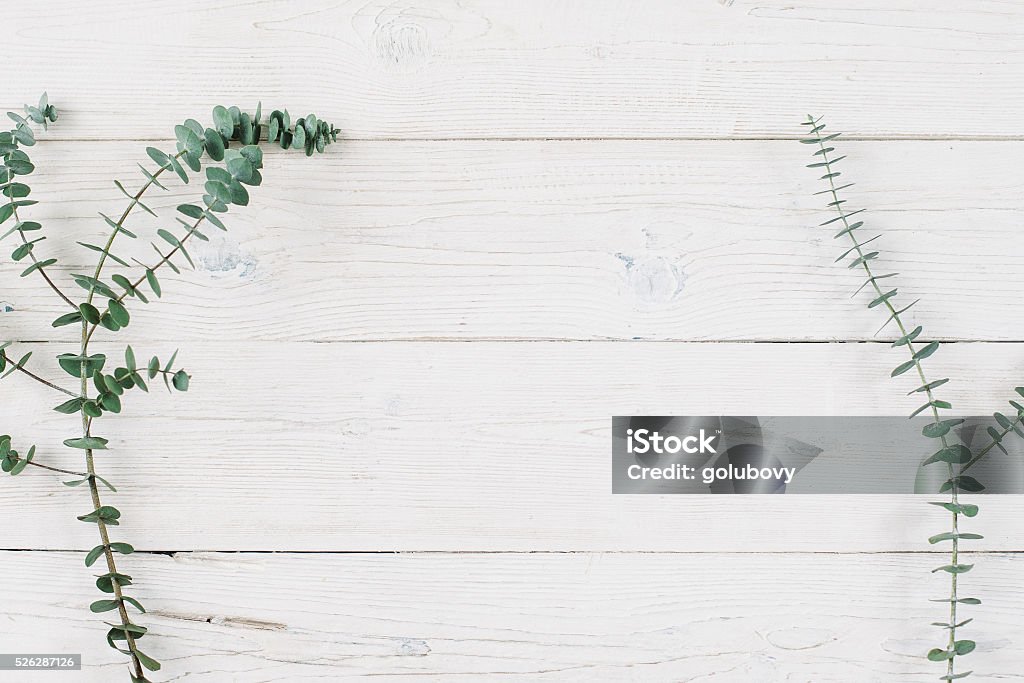 Spring plant over white wooden background. Spring plant over wood background. Decorative plant branch top view on white wooden background with free space. Rustic background with flat lay green plant. Wood - Material Stock Photo