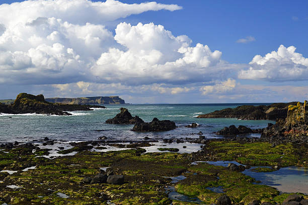 istock Atlantic coast with blue cloudy sky and grass before the coast 526287378