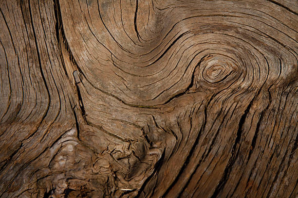 istock closeup look at grain pattern on piece of dry wood 526287397
