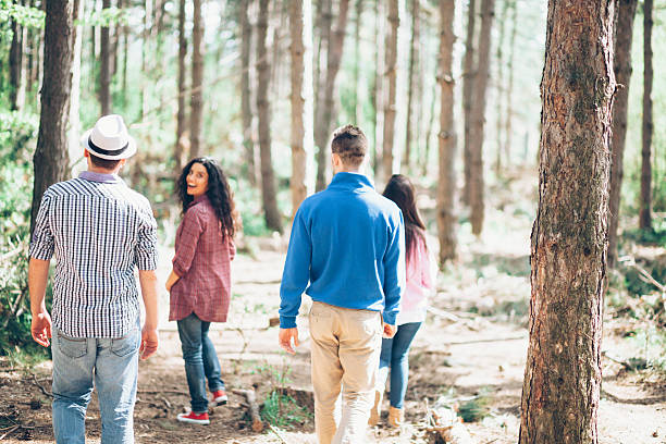istock Cheerful friends hiking in the forest 526289420