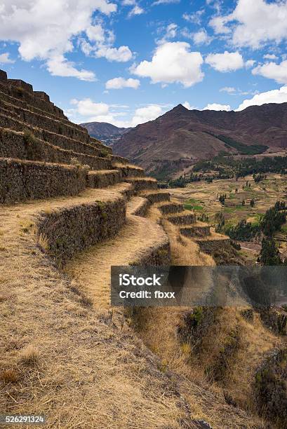 Closeup Of Incas Terraces In Pisac Sacred Valley Peru Stock Photo - Download Image Now