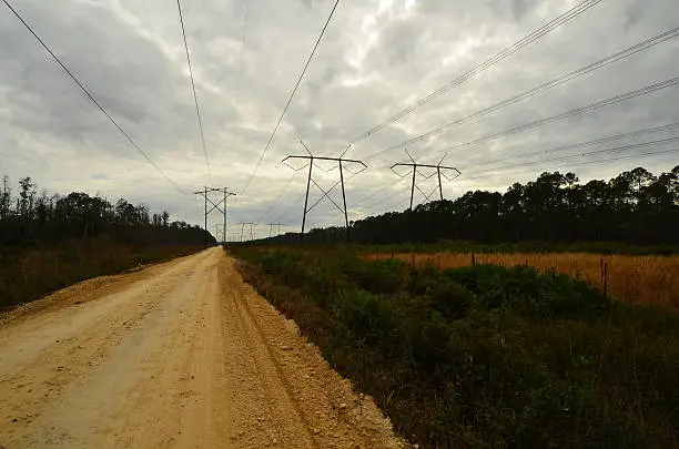 Pylons and powerlines disappearing into the horizon, along an easement through a forest