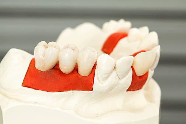 istock Dental health care 526299024