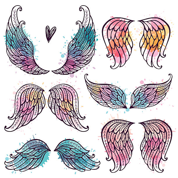 Set of angel wings Set of illustrations with angel wings. Freehand drawing angel wings drawing stock illustrations