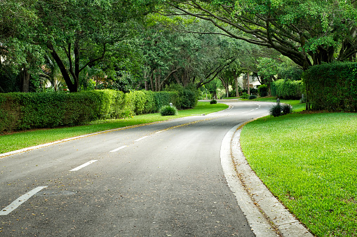 A beautifully landscaped road curves around the corner in Naples Florida, clean and well maintained lined with trees and hedges.