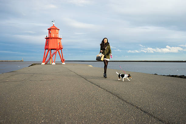 Woman walking her dog stock photo