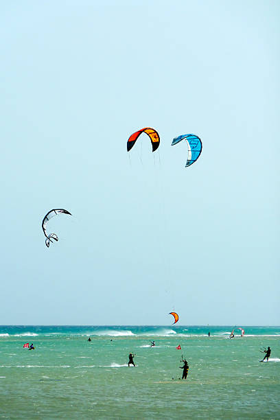 Kites stock photo