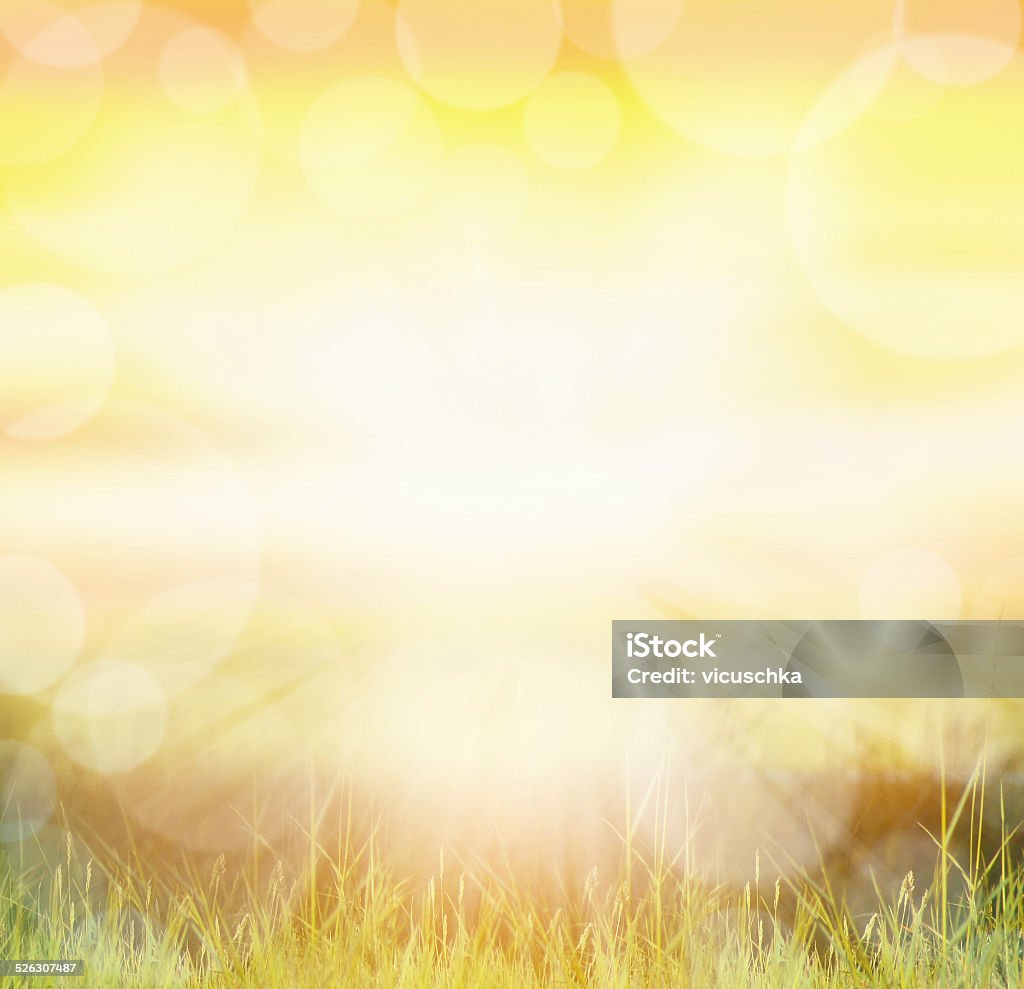 Sunny natur sfondo con bokeh e raggi solari sull'erba - Foto stock royalty-free di Sfondi