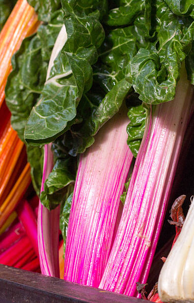 istock Rainbow Chard in Borough Market, London 526307943