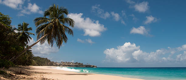 istock Playa Grande. Dominican Republic 526308611