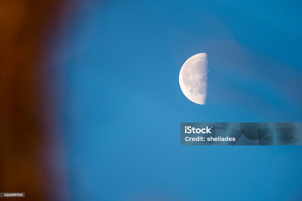 Daytime half moon Moon in the middle of the day. Shot through the treetops Astronomy Stock Photo