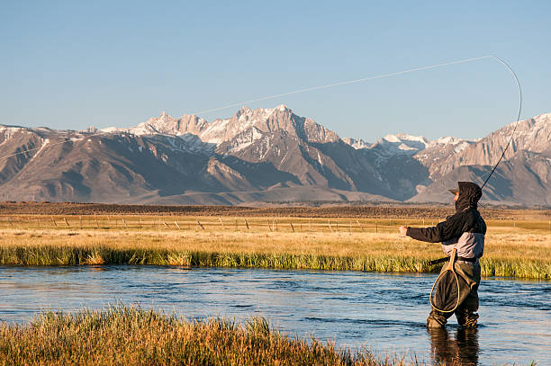 istock Fly Fishing Owens River 526309759