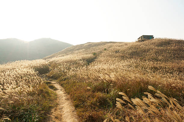 Hong Kong Sunset Peak Autumn Landscapes