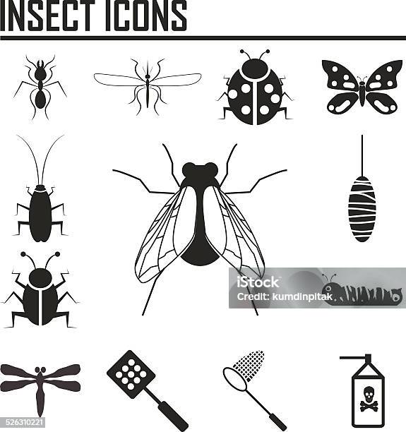 Insect Icons Illustration Stock Illustration - Download Image Now - Butterfly - Insect, Cocoon - Animal Stage, In Silhouette