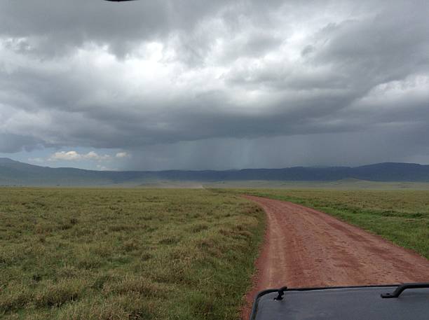 istock safari in tanzania 526311131