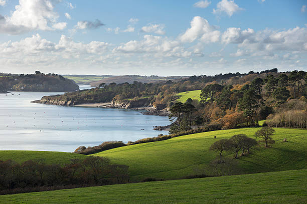 helford river - england field autumn season stock-fotos und bilder