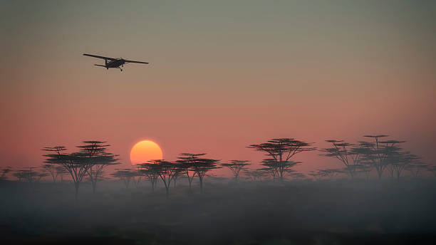 Airplane flying over misty savannah landscape at dawn. Airplane flying over misty savannah landscape at dawn. Low perspective view. landscape fog africa beauty in nature stock pictures, royalty-free photos & images