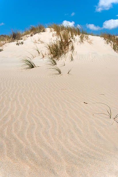 istock Sardegna, sand dunes of Chia 526322781