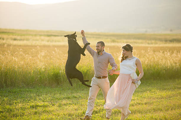 istock Bride and groom playing with dog 526323803