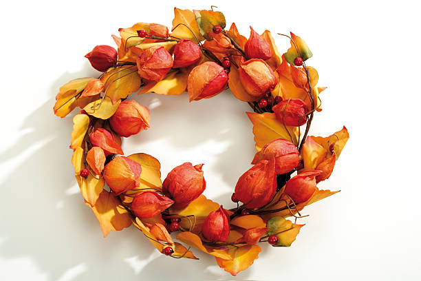 istock Wreath of autumn plants 526324229