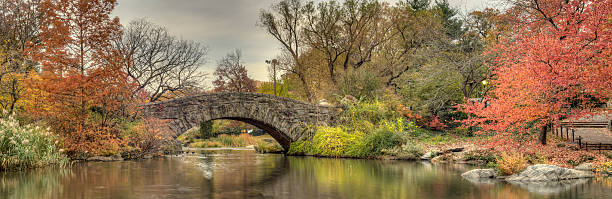 istock Gapstow bridge Central Park, New York City 526325473