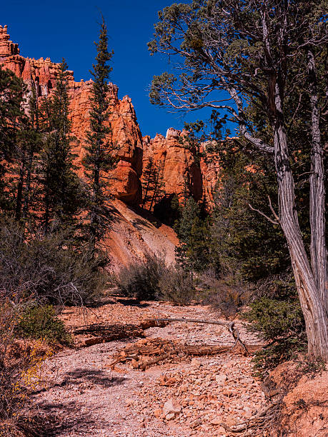 Wyoming landscape with a mountain plateau