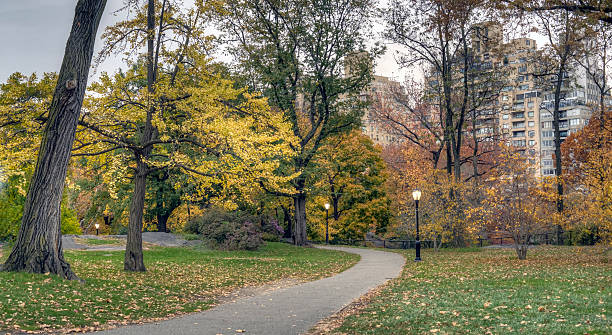 istock Central Park, New York City 526351025